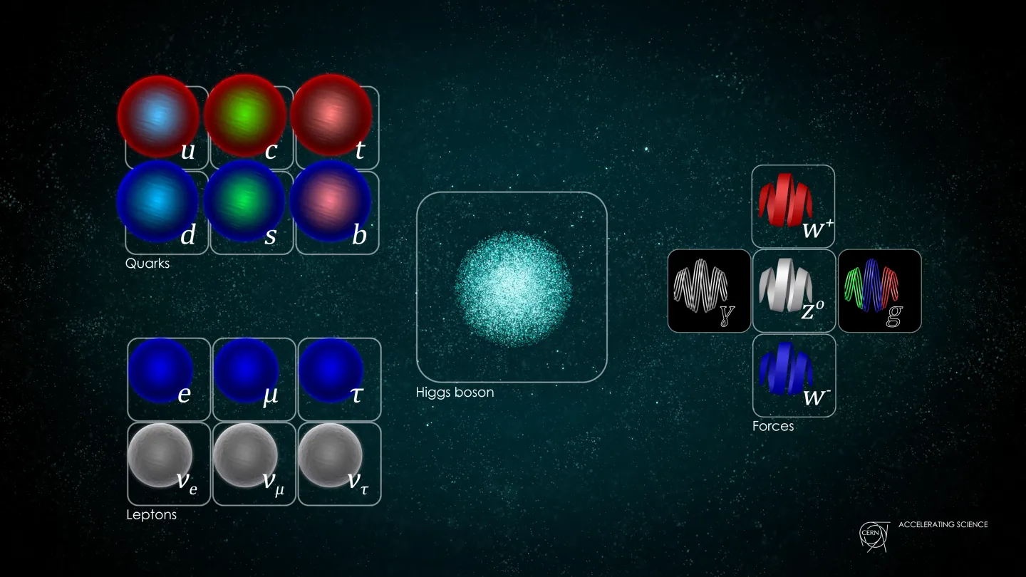 The Standard Model